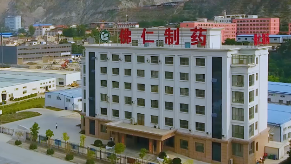 甘肃省副省长葛建团莅临永利皇宫（002219）旗下佛仁制药考察调研